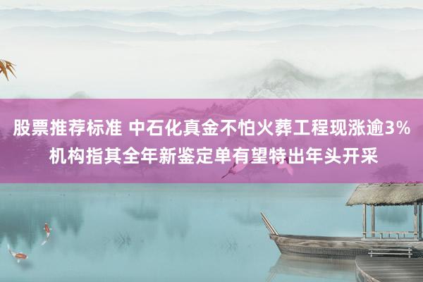 股票推荐标准 中石化真金不怕火葬工程现涨逾3% 机构指其全年新鉴定单有望特出年头开采