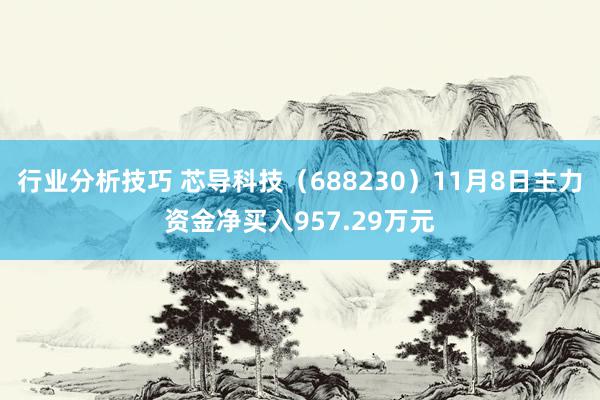 行业分析技巧 芯导科技（688230）11月8日主力资金净买入957.29万元