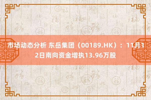 市场动态分析 东岳集团（00189.HK）：11月12日南向资金增执13.96万股