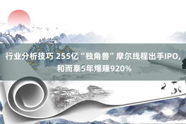 行业分析技巧 255亿“独角兽”摩尔线程出手IPO, 和而泰5年爆赚920%