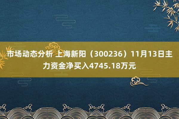 市场动态分析 上海新阳（300236）11月13日主力资金净买入4745.18万元