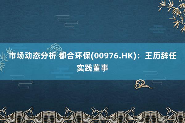 市场动态分析 都合环保(00976.HK)：王历辞任实践董事