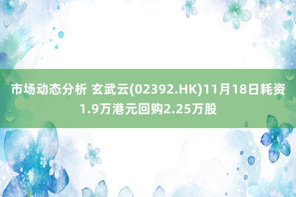 市场动态分析 玄武云(02392.HK)11月18日耗资1.9万港元回购2.25万股