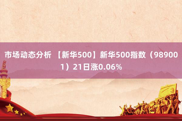 市场动态分析 【新华500】新华500指数（989001）21日涨0.06%