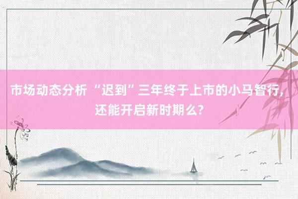 市场动态分析 “迟到”三年终于上市的小马智行, 还能开启新时期么?