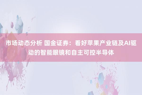 市场动态分析 国金证券：看好苹果产业链及AI驱动的智能眼镜和自主可控半导体