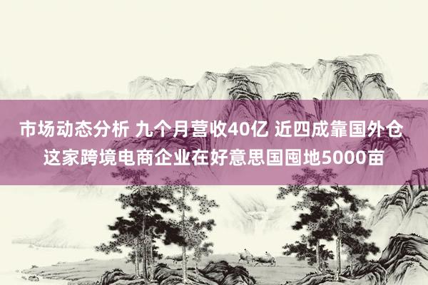 市场动态分析 九个月营收40亿 近四成靠国外仓 这家跨境电商企业在好意思国囤地5000亩