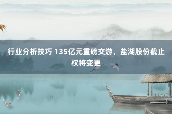 行业分析技巧 135亿元重磅交游，盐湖股份截止权将变更