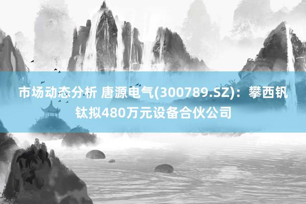 市场动态分析 唐源电气(300789.SZ)：攀西钒钛拟480万元设备合伙公司