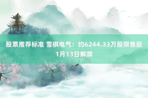 股票推荐标准 雪祺电气：约6244.33万股限售股1月13日解禁