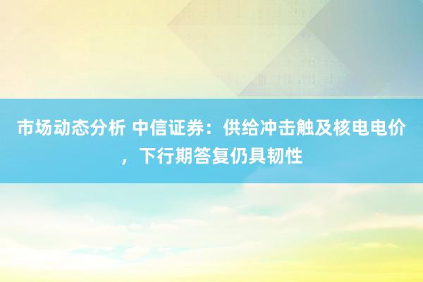 市场动态分析 中信证券：供给冲击触及核电电价，下行期答复仍具韧性