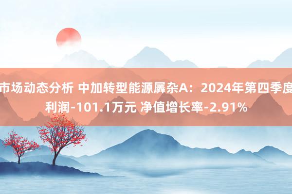 市场动态分析 中加转型能源羼杂A：2024年第四季度利润-101.1万元 净值增长率-2.91%