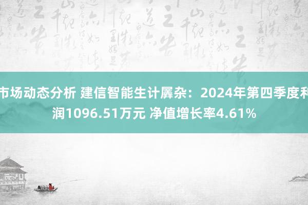 市场动态分析 建信智能生计羼杂：2024年第四季度利润1096.51万元 净值增长率4.61%