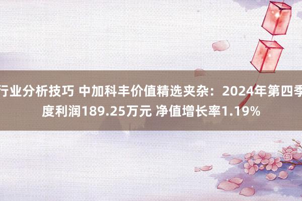 行业分析技巧 中加科丰价值精选夹杂：2024年第四季度利润189.25万元 净值增长率1.19%