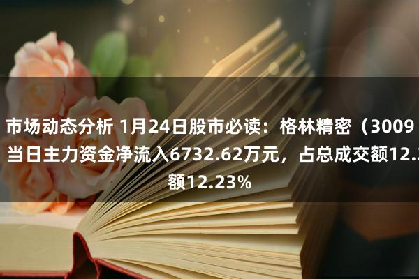 市场动态分析 1月24日股市必读：格林精密（300968）当日主力资金净流入6732.62万元，占总成交额12.23%