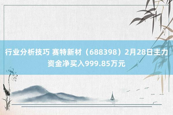 行业分析技巧 赛特新材（688398）2月28日主力资金净买入999.85万元