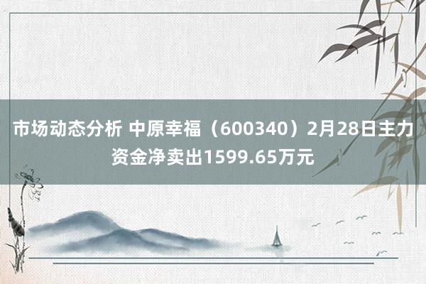 市场动态分析 中原幸福（600340）2月28日主力资金净卖出1599.65万元