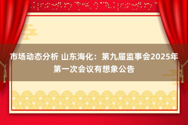 市场动态分析 山东海化：第九届监事会2025年第一次会议有想象公告